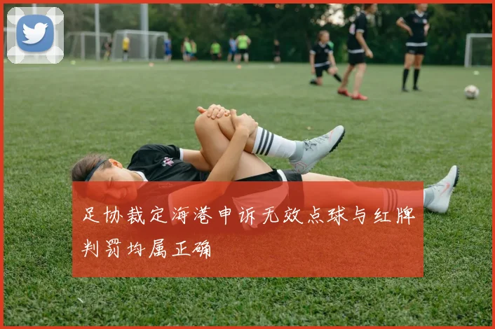 足协裁定海港申诉无效点球与红牌判罚均属正确