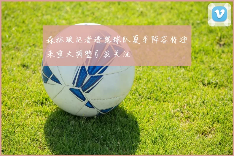 森林狼记者透露球队夏季阵容将迎来重大调整引发关注